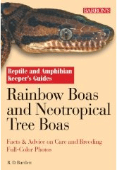 Rainbow Boas and Neotropical Tree Boas
